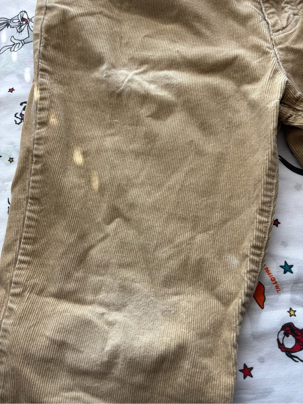 Patagonia Men's Beige Corduroy Pants - Picture 5 of 6
